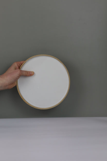 Hand holding a white plate against a grey background