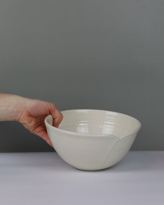 Hand holding a white ceramic bowl against a plain background